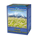 Tulsi, Ayurvedic herbal mixture for colds, respiratory infections, against viruses, bacteria with Indian basil and 7 herbs