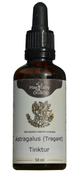 Astragalus (Tragant) tincture, 50ml, for allergies, hay fever, general weakness, diabetes Astragalus, Latin Astragalus membranaceus (tragacanth) is a plant from the Asian region, which was particularly used in traditional Chinese medicine.