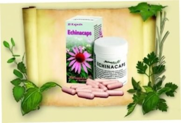 Echinacea Caps - an immunotherapeutic for colds, sore throat and flu, prevent infection, mitigate and reduce the complaints, 30 capsules