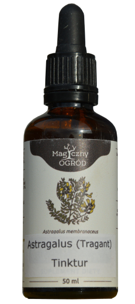 Astragalus tincture, 50ml, fights allergy, gives energy boost, lowers sugar level in diabetes