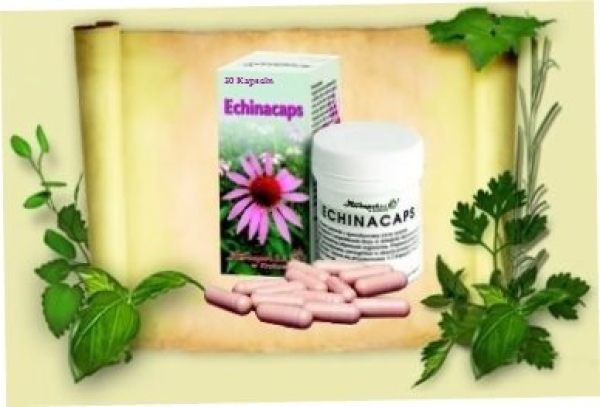Echinacea Caps - an immunotherapeutic for colds, sore throat and flu, prevent infection, mitigate and reduce the complaints, 30 capsules