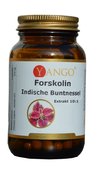 Indian stinging nettle, forskolin, 60 capsules, lowers blood pressure, dilates bronchi, fixes cystitis, stimulates digestion