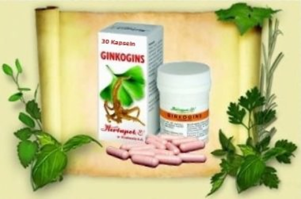 Ginkgogins capsules - with Ginkgo and Ginseng for more concentration, good memory and endurance, 30 capsules